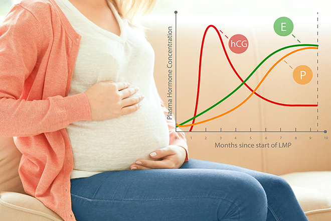Phụ nữ mang thai đôi hoặc đa thai có thể có nồng độ hCG (một hormone chỉ xuất hiện trong thai kỳ) trong máu cao hơn