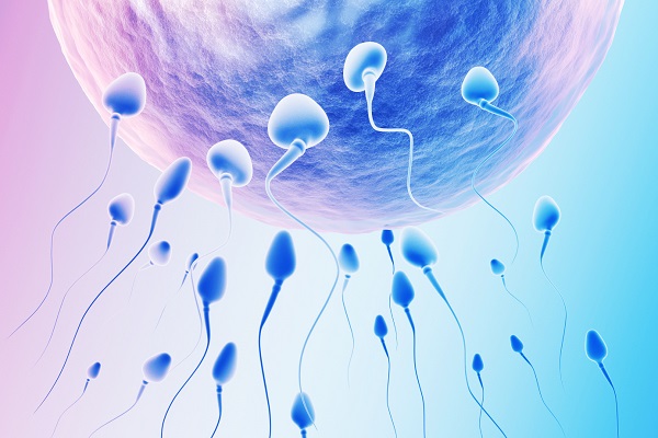5 bí quyết mẹ nên biết để sớm có thai sau rụng trứng